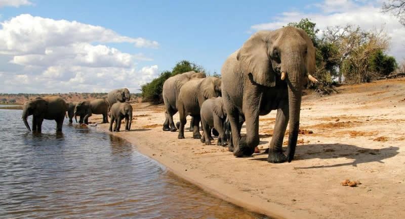 most attractive elephant parks