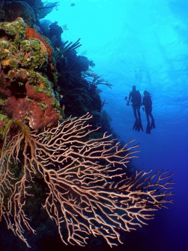 Best diving locations